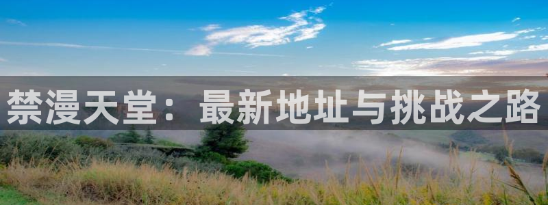 拷贝漫画 copymanager.ory网站：禁漫天堂：最新地址与挑战之路