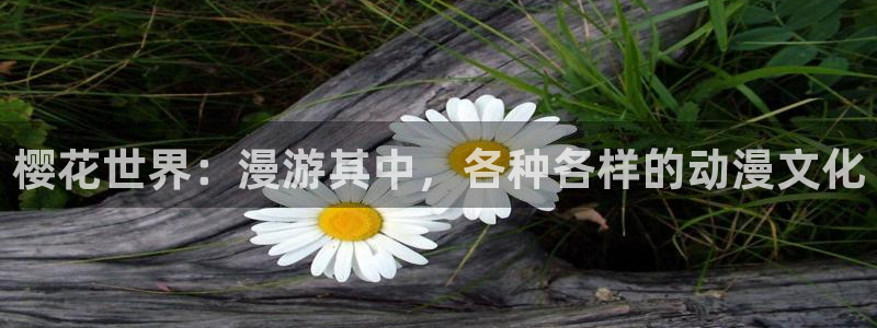 age动漫网：樱花世界：漫游其中，各种各样的动漫文化