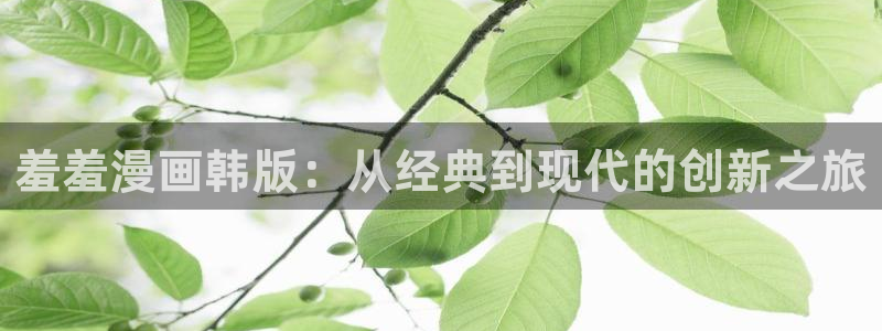 age动漫网：羞羞漫画韩版：从经典到现代的创新之旅