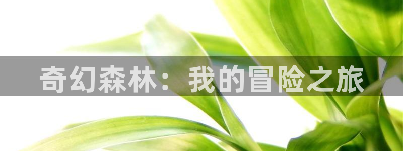 age动漫网上看：奇幻森林：我的冒险之旅