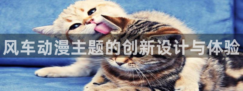 backstage韩漫免费观看：风车动漫主题的创新设计与体验