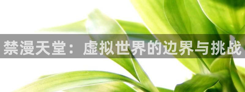 age动漫下载网：禁漫天堂：虚拟世界的边界与挑战