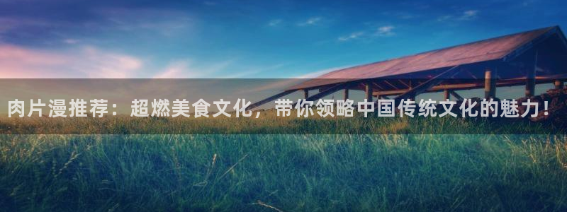 age专注动漫的门户网站：肉片漫推荐：超燃美食文化，带你领略中国传统文化的魅力！