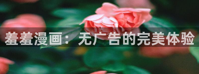 age动漫下载：羞羞漫画：无广告的完美体验
