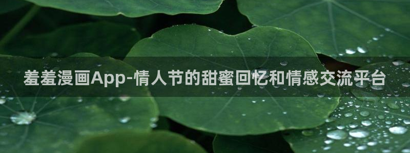 age动漫网下载：羞羞漫画App-情人节的甜蜜回忆和情感交流平台