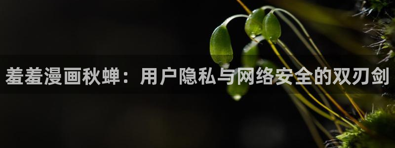 stagenehind韩漫免费观看：羞羞漫画秋蝉：用户隐私与网络安全的双刃剑