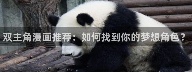 kakaopage韩漫官网：双主角漫画推荐：如何找到你的梦想角色？