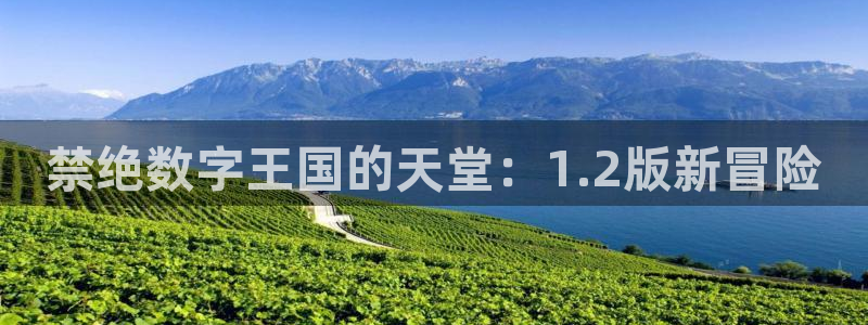 age动漫网下载：禁绝数字王国的天堂：1.2版新冒险