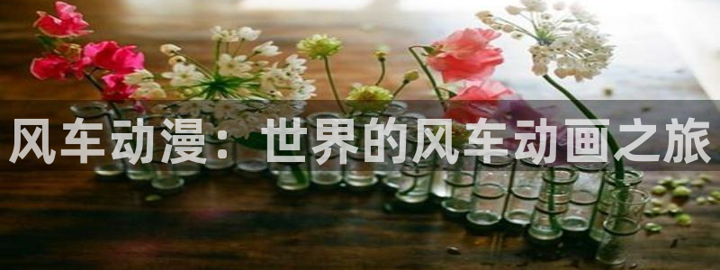 age动漫正版网：风车动漫：世界的风车动画之旅