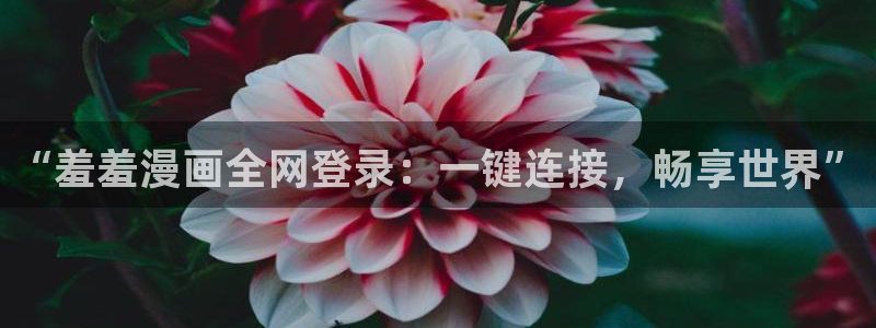 age动漫下载动漫全免费：“羞羞漫画全网登录：一键连接，畅享世界”