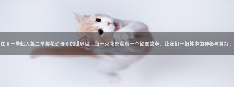 age动漫官网网址：在《一拳超人第二季樱花动漫》的世界里，每一朵花都藏着一个秘密故事，让我们一起其中的神秘与美好。